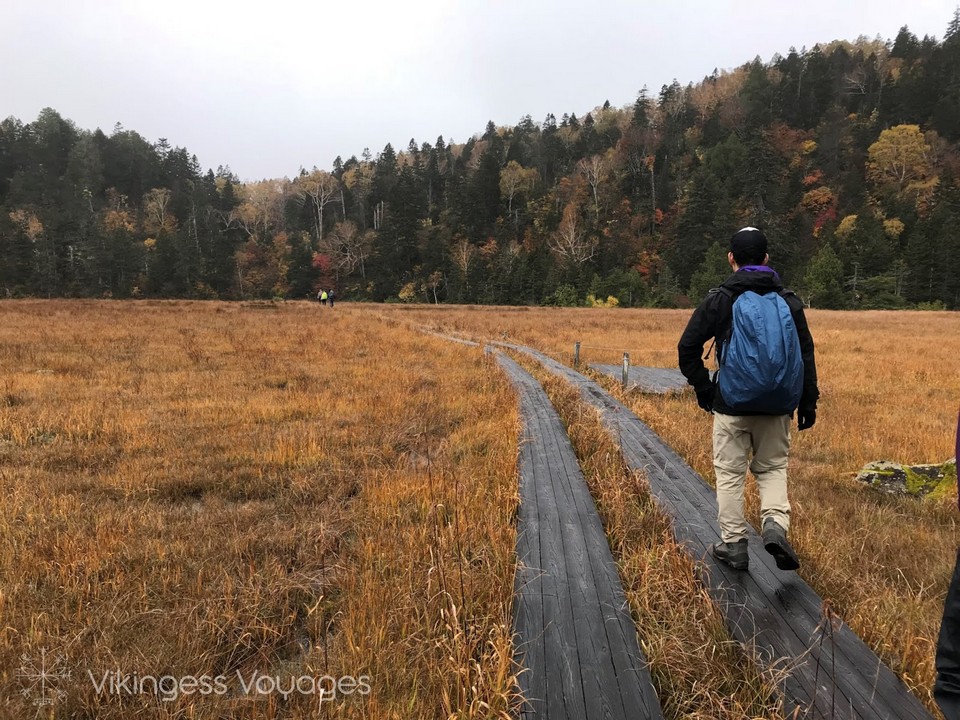 Gunma-Autumn-Foliage-Oze-National-Park8