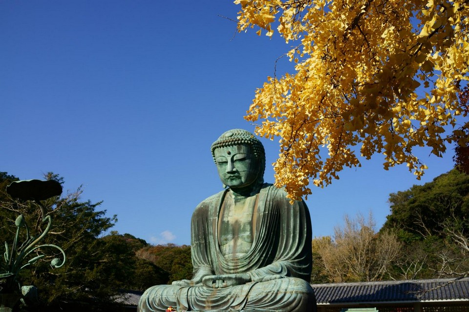 Kamakura autumn (1)