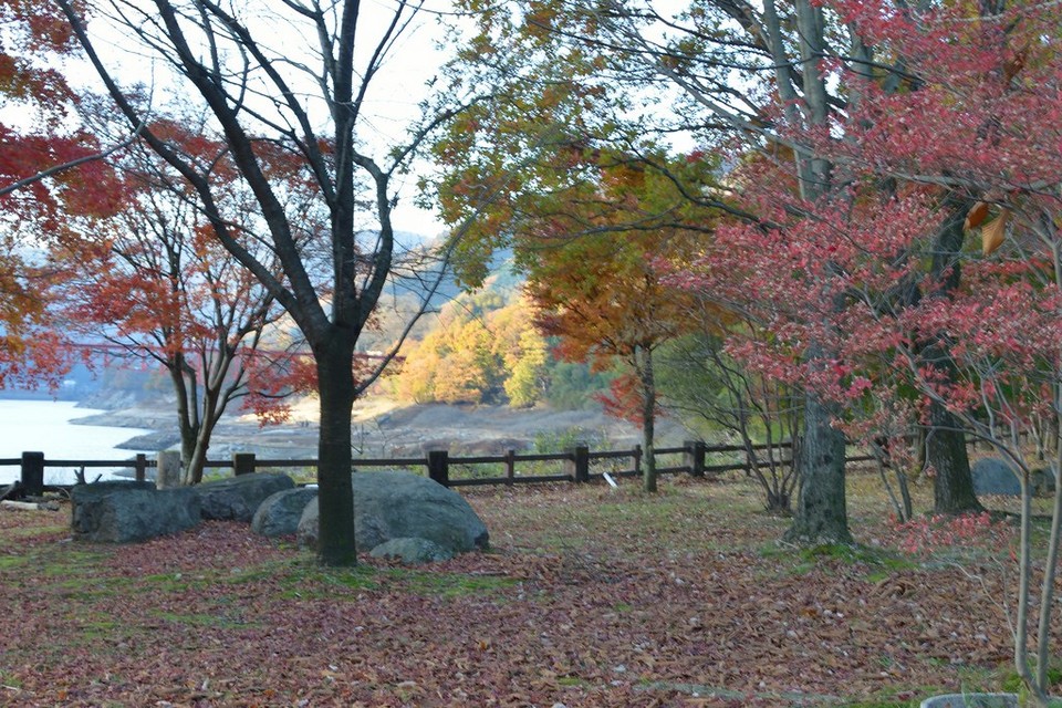 Kusaki Dam Lake autumn (1)