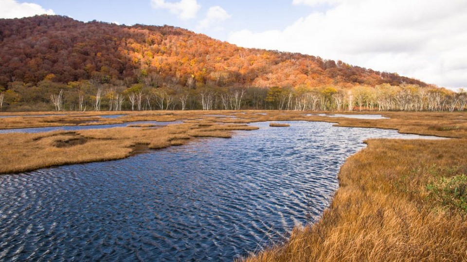 Gunma-Autumn-Foliage-Oze-National-Park8