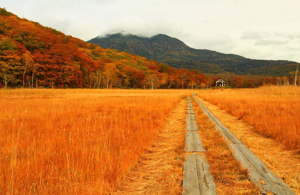 Gunma-Autumn-Foliage-Oze-National-Park8