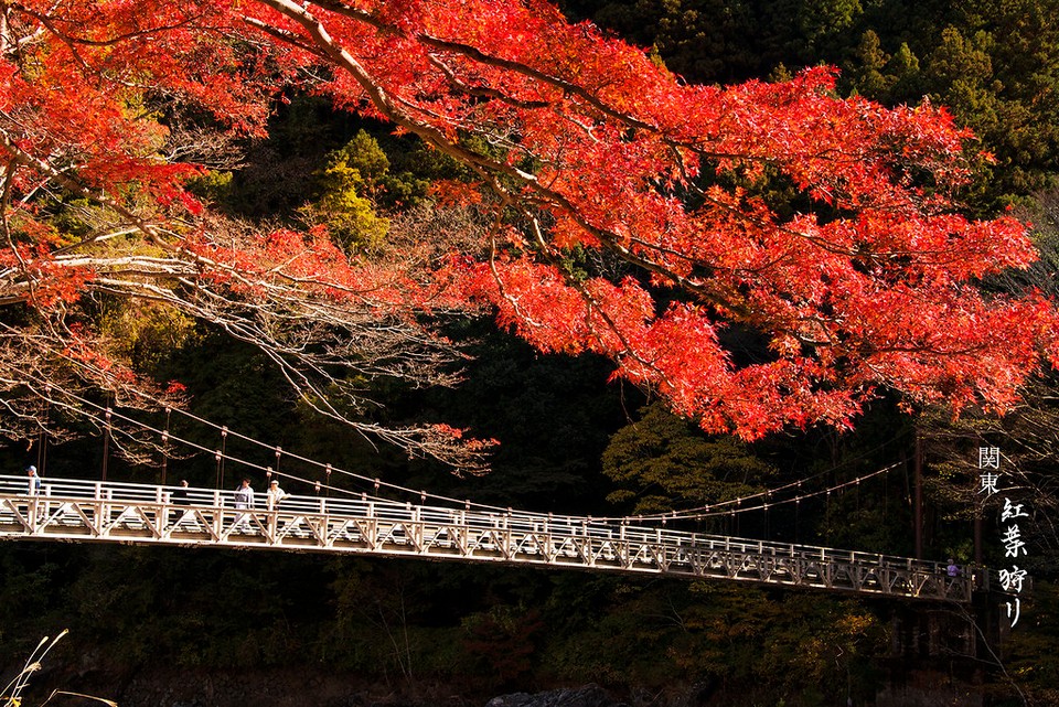 Shosenkyo Gorge autumn (1)