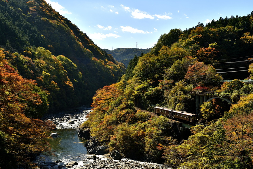 Watarase Keikoku Railway autumn (1)
