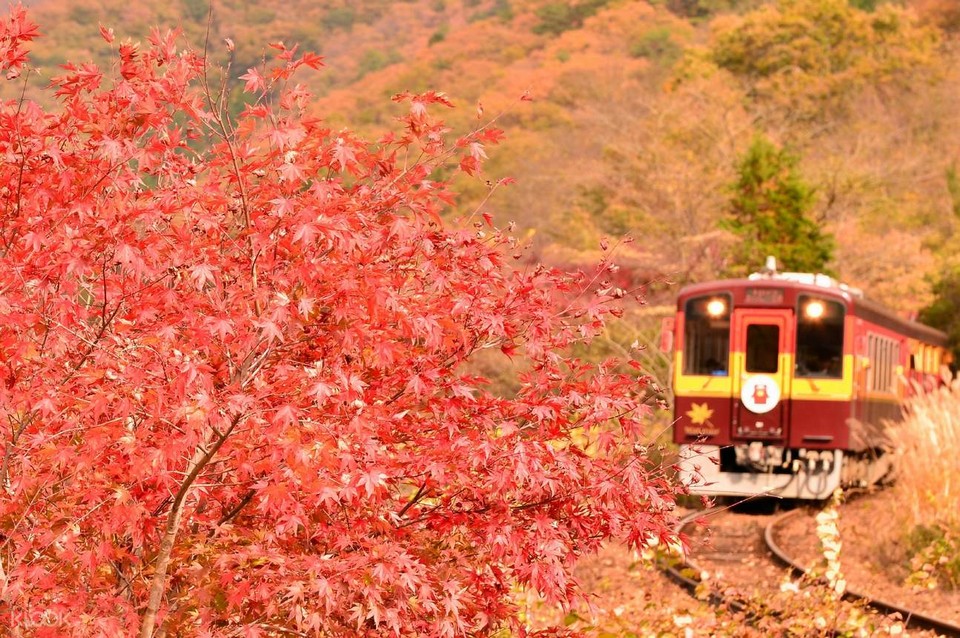 Watarase Keikoku Railway autumn (1)