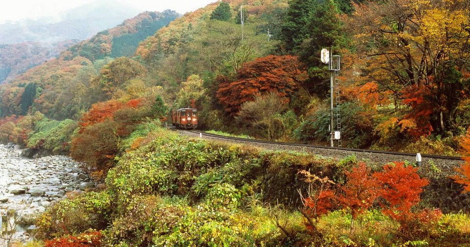 Watarase Keikoku Railway autumn (1)