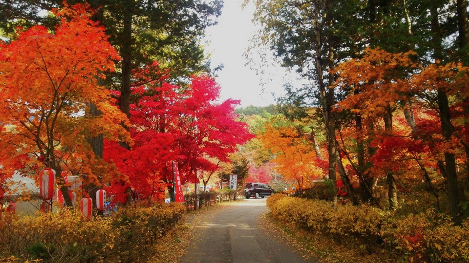 Yatsugatake Chushin-Kogen Quasi-National Park (1)