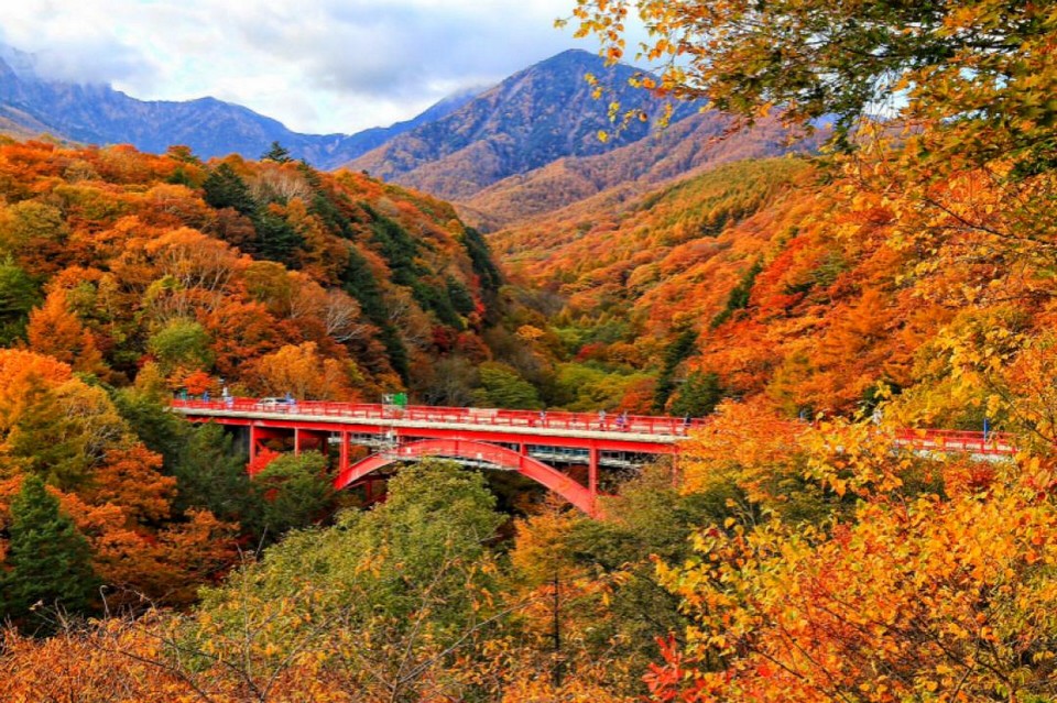 Yatsugatake Chushin-Kogen Quasi-National Park (1)