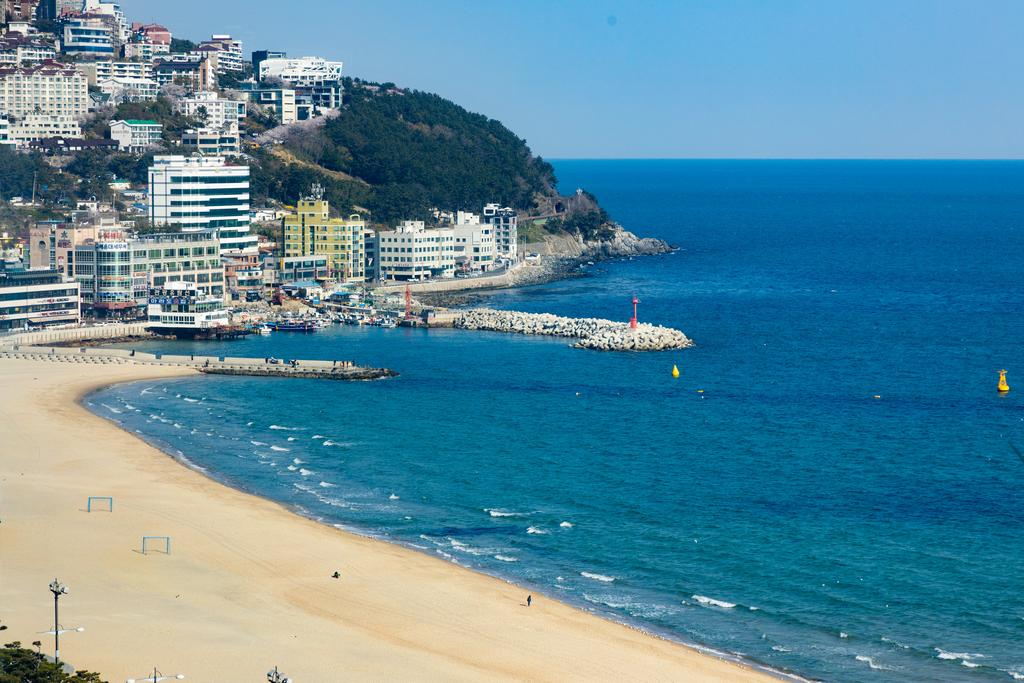 Sunset Business Hotel busan (1)