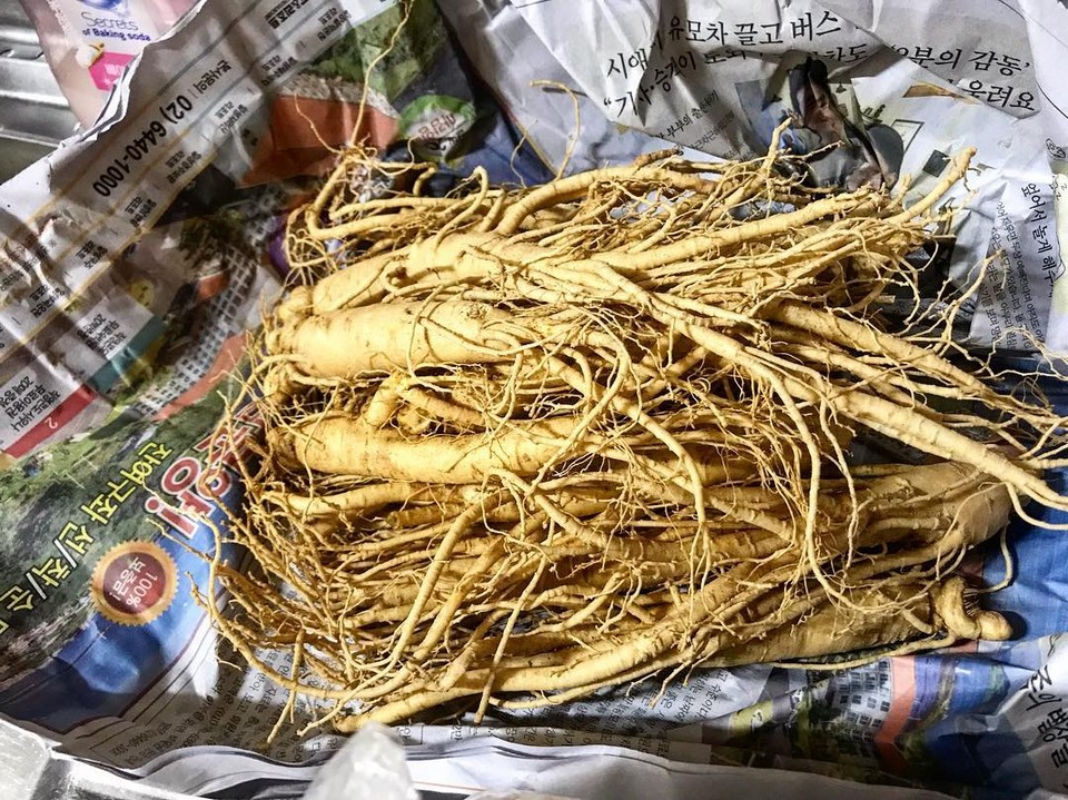 Bujeon Market – Ginseng Market busan (1)