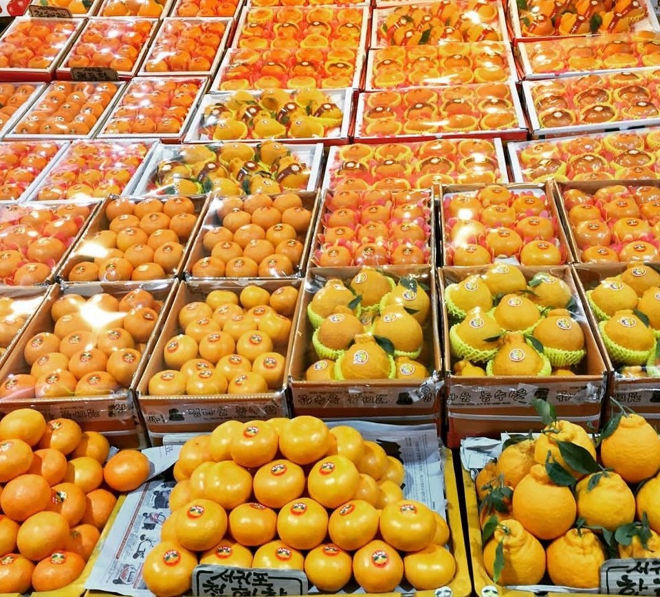 Hallabong jeju tangarines oranges (1)