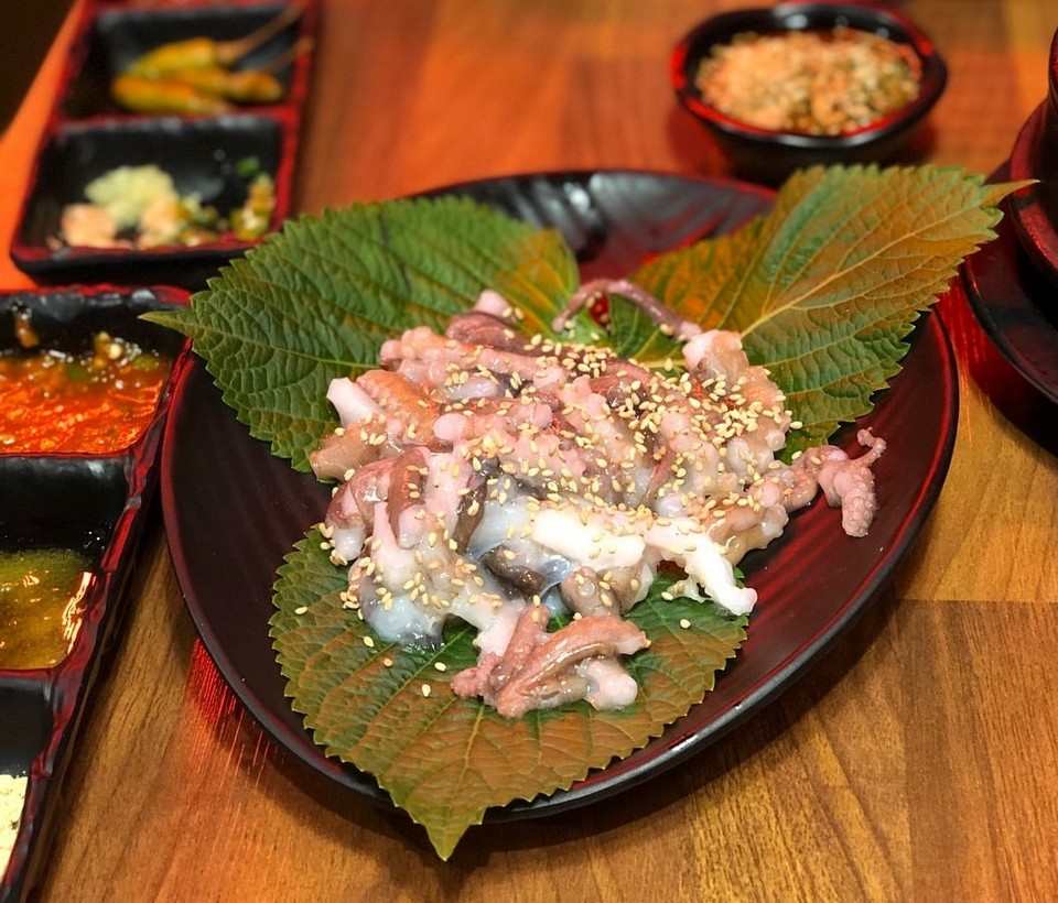 Live Octopus Sashimi jeju (1)