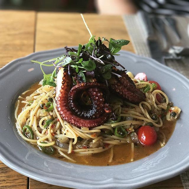 Octopus Pasta jeju (1)