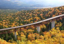 Hokkaido Fall Foliage 2026 Forecast — 15+ top things to do & best places to visit in Hokkaido during autumn hokkaido travel blog autumn,places to visit in hokkaido during autumn,hokkaido fall foliage,hokkaido autumn leaves (4)