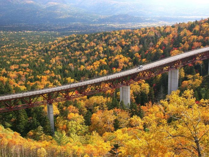 hokkaido travel blog autumn,places to visit in hokkaido during autumn,hokkaido fall foliage,hokkaido autumn leaves (4)