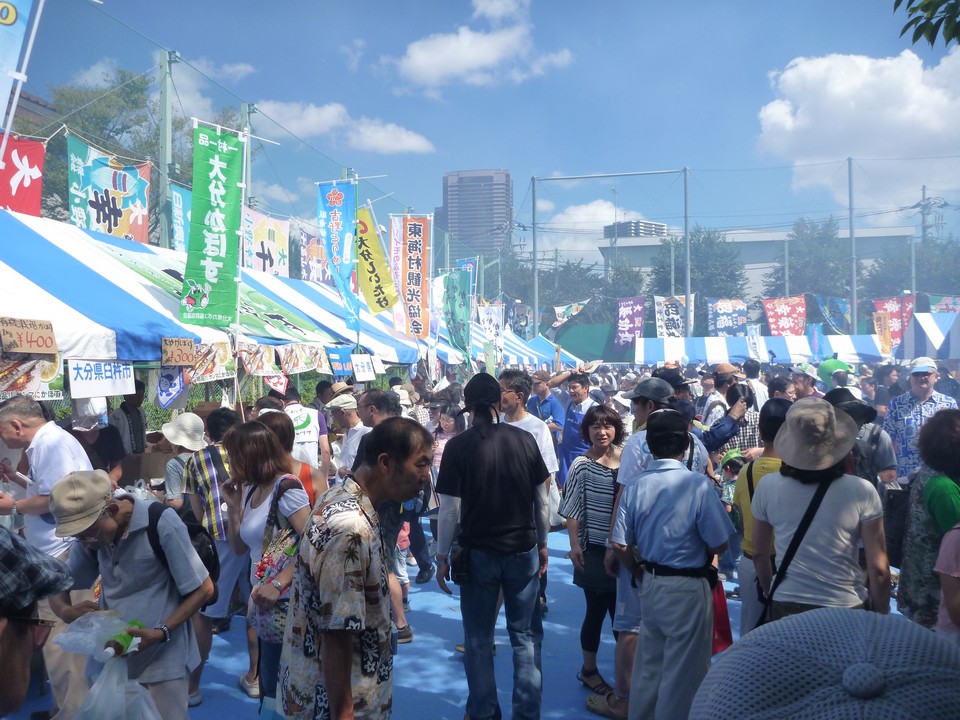Sanma Nemuro Fish Festival (1)