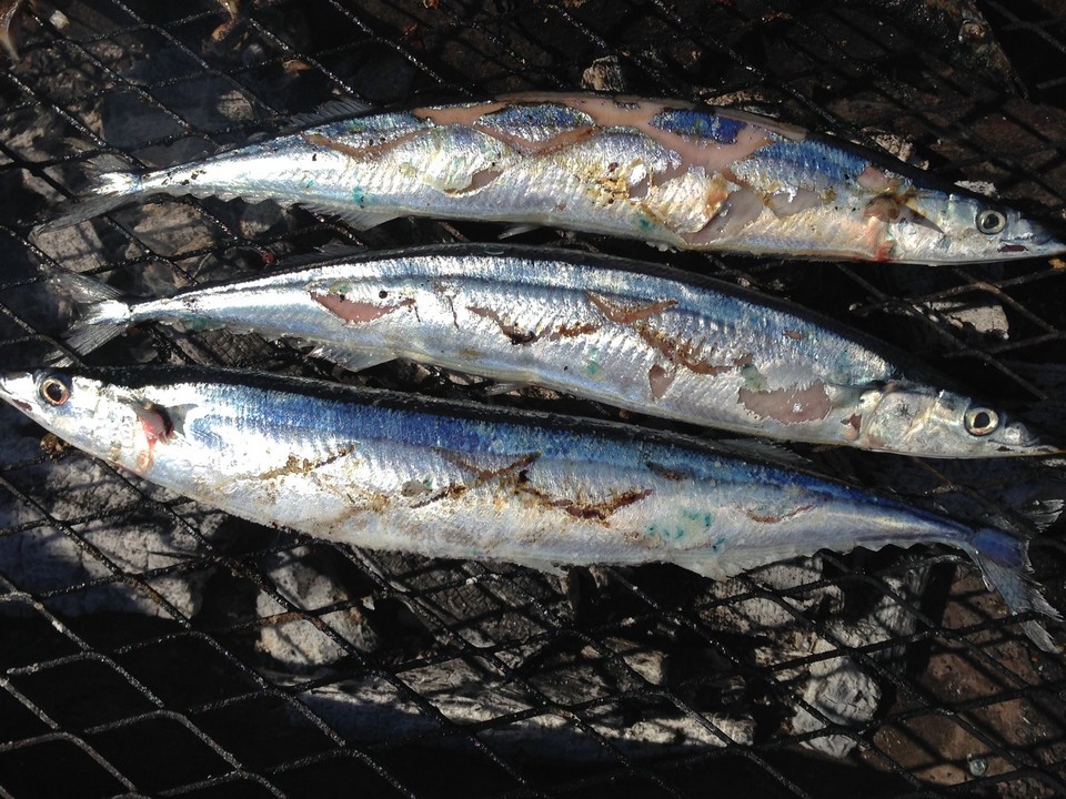 Sanma Nemuro Fish Festival (1)