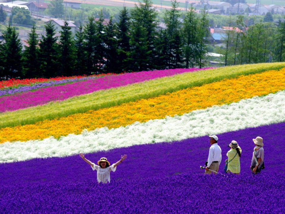self drive in hokkaido (1)