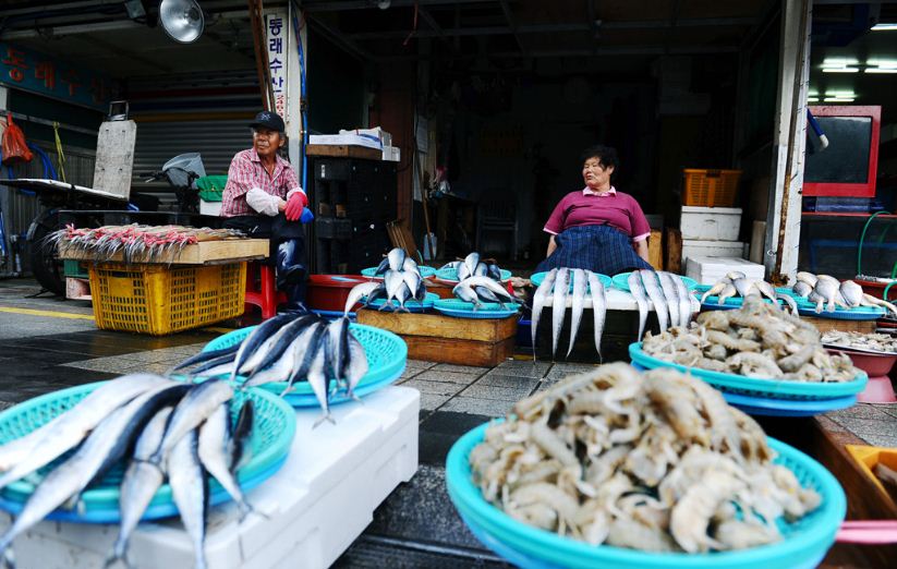 Jagalchi Fish Market