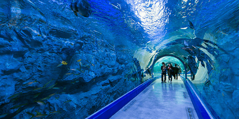 Jeju-couples-3-days