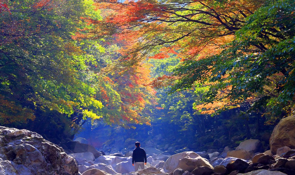 Cheon A Valley,jeju autumn foliage,jeju autumn itinerary,jeju autumn month,jeju fall foliage,jeju autumn foliage (1)