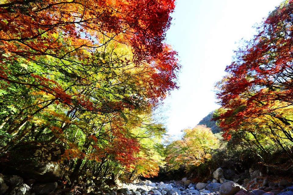 Cheon A Valley,jeju autumn foliage,jeju autumn itinerary,jeju autumn month,jeju fall foliage,jeju autumn foliage (1)