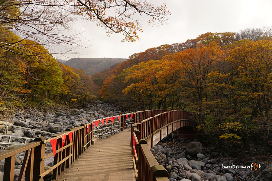Hiking Hallasan in Autumn (Eorimok Trail)