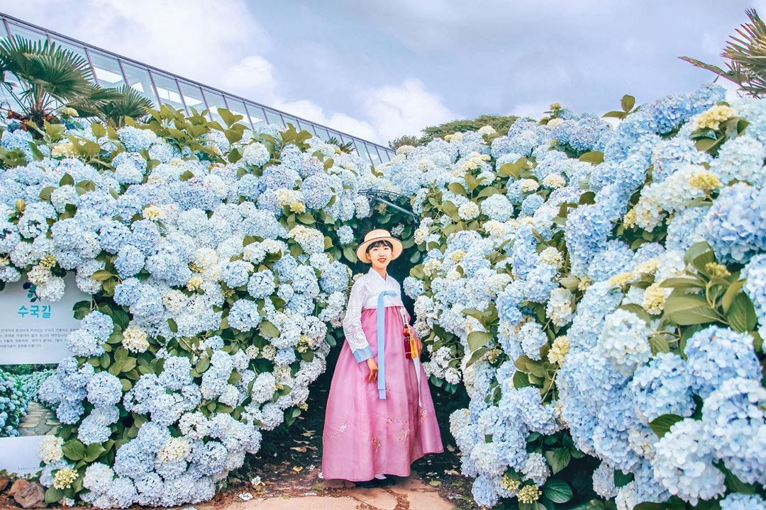 jeju photography service