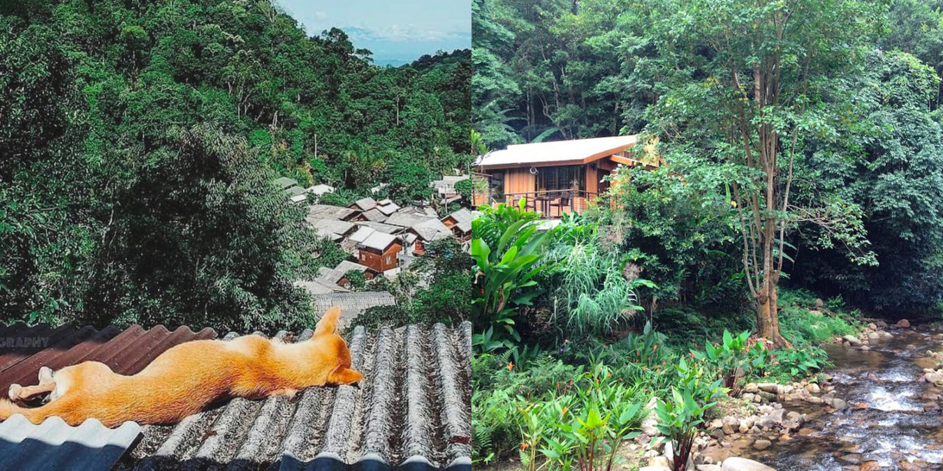 1Teen Tok Royal Project Development Center (2)