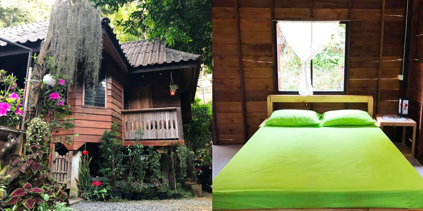 2Kampong Coffee and Homestay,best hostels in chiang mai,cheap homestay in chiang mai,top hostels in chiang mai (1)