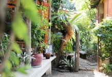 Baannoi Nornmuan Home chiang mai thailand