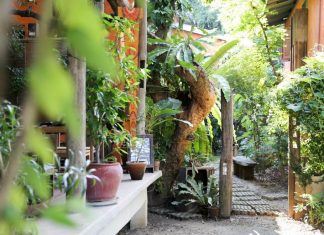 Baannoi Nornmuan Home chiang mai thailand