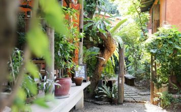 Baannoi Nornmuan Home chiang mai thailand
