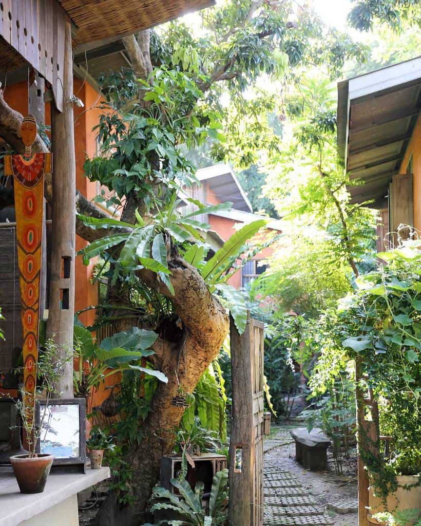 Baannoi Nornmuan Homestay chiang mai (10)