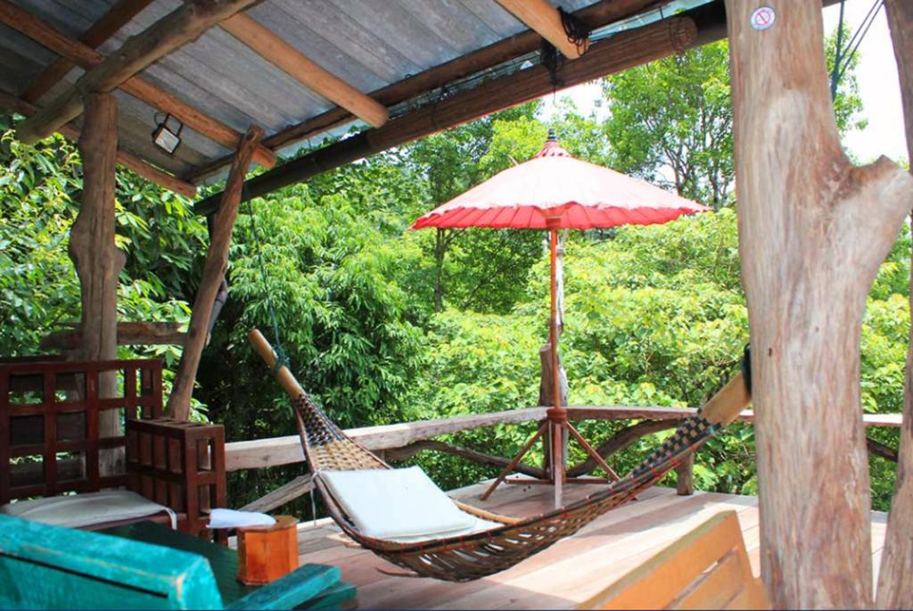 Kampong Coffee and Homestay,best hostels in chiang mai,cheap homestay in chiang mai,top hostels in chiang mai (1)