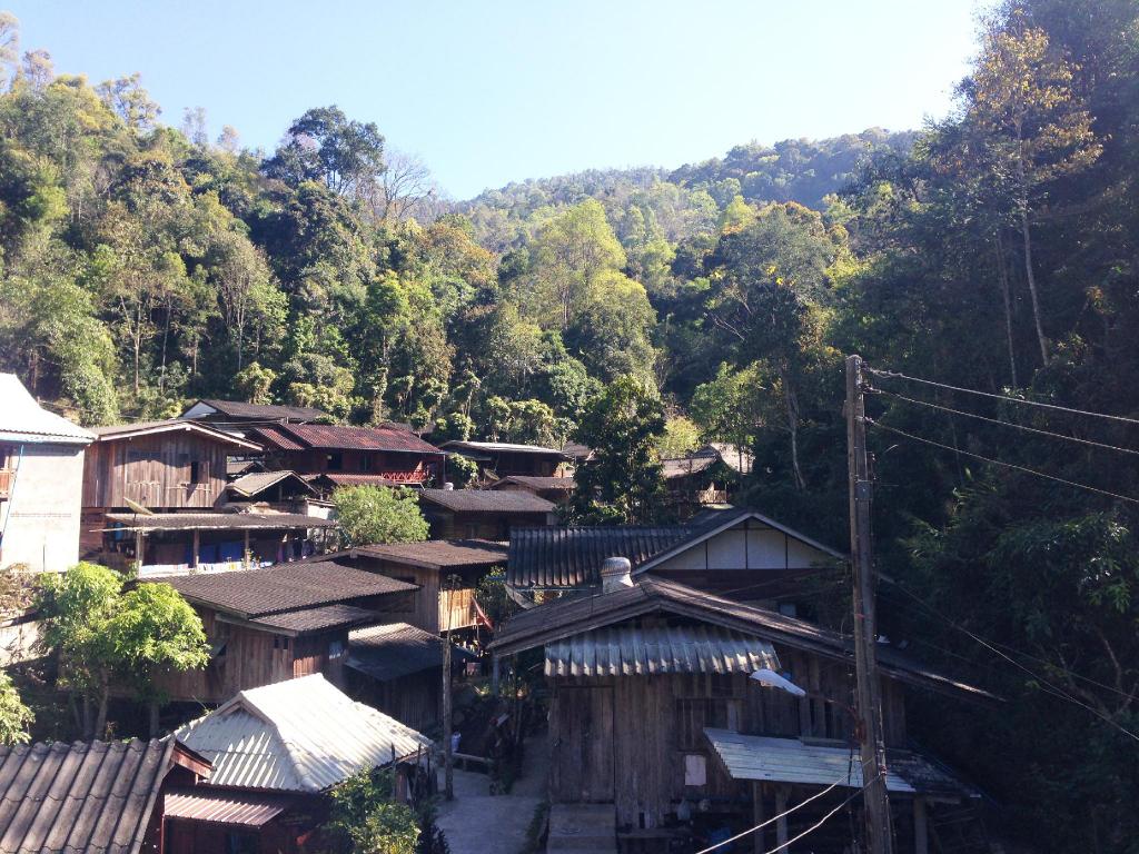 Kampong Coffee and Homestay,best hostels in chiang mai,cheap homestay in chiang mai,top hostels in chiang mai (14)