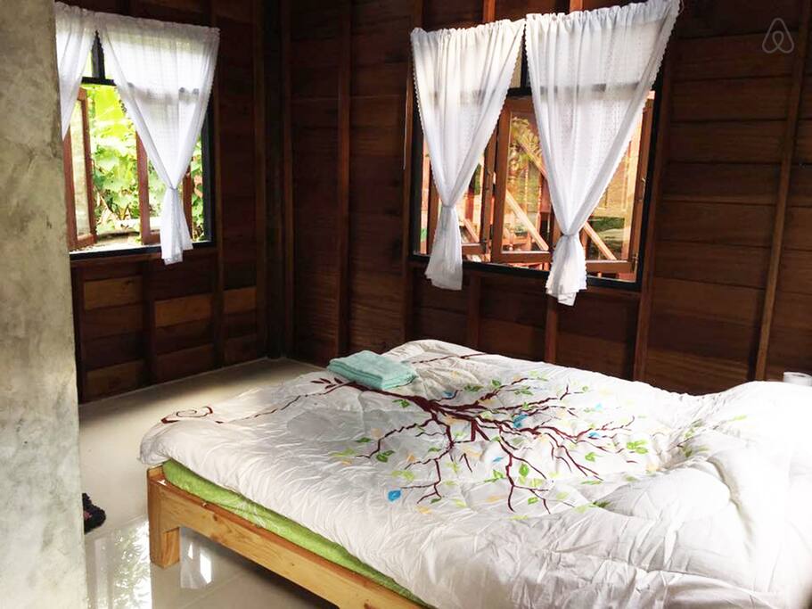 Kampong Coffee and Homestay,best hostels in chiang mai,cheap homestay in chiang mai,top hostels in chiang mai (15)