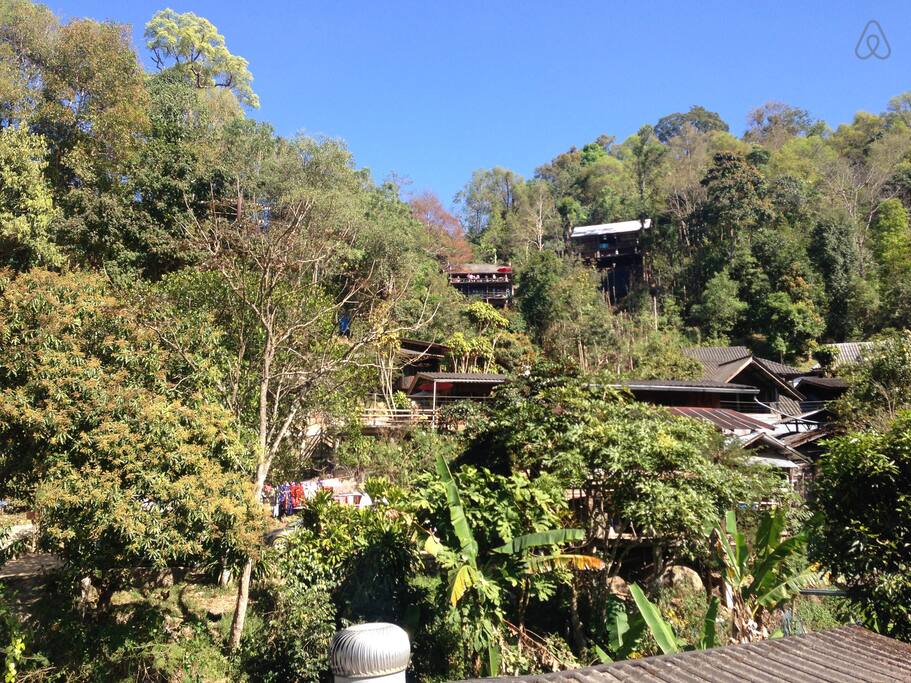 Kampong Coffee and Homestay,best hostels in chiang mai,cheap homestay in chiang mai,top hostels in chiang mai (24)