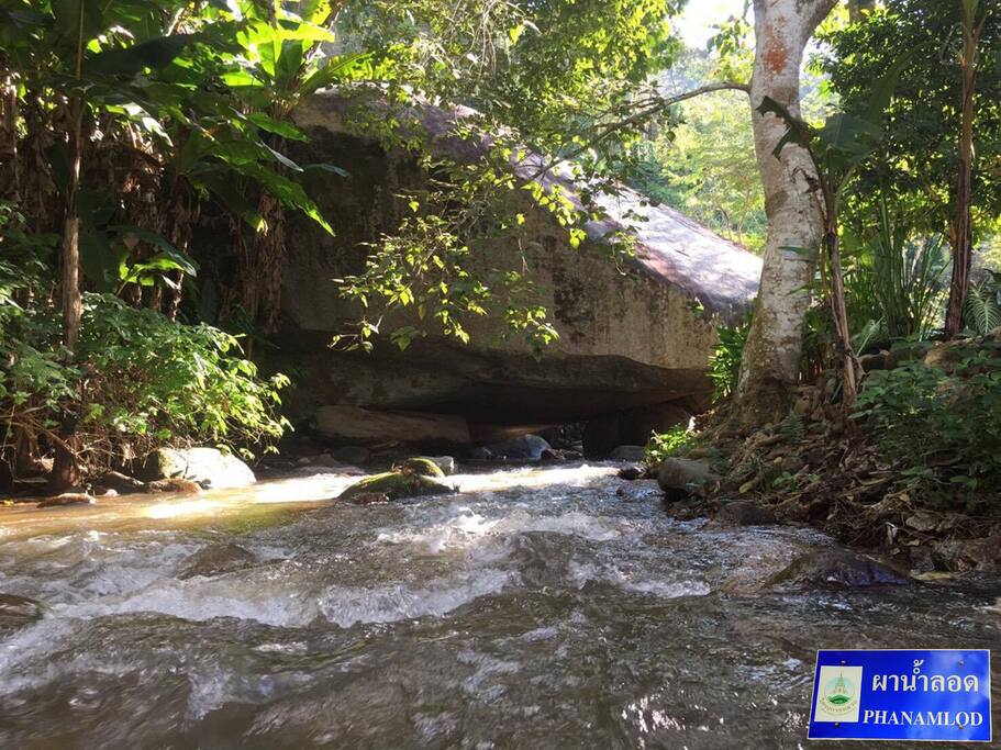 Kampong Coffee and Homestay,best hostels in chiang mai,cheap homestay in chiang mai,top hostels in chiang mai (25)