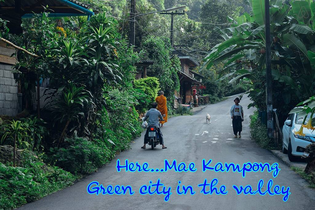 Kampong Coffee and Homestay,best hostels in chiang mai,cheap homestay in chiang mai,top hostels in chiang mai (26)