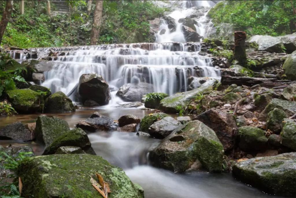 Kampong Coffee and Homestay,best hostels in chiang mai,cheap homestay in chiang mai,top hostels in chiang mai (27)