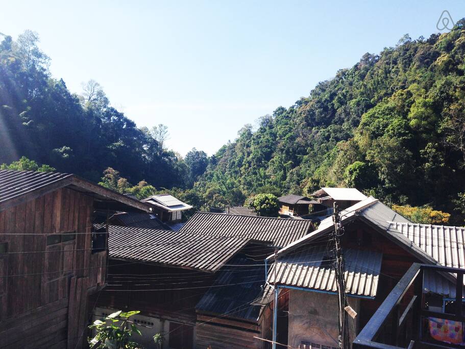 Kampong Coffee and Homestay,best hostels in chiang mai,cheap homestay in chiang mai,top hostels in chiang mai (29)