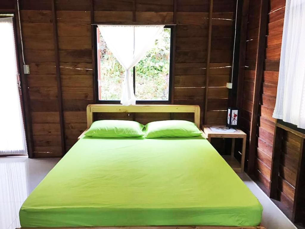 Kampong Coffee and Homestay,best hostels in chiang mai,cheap homestay in chiang mai,top hostels in chiang mai (3)
