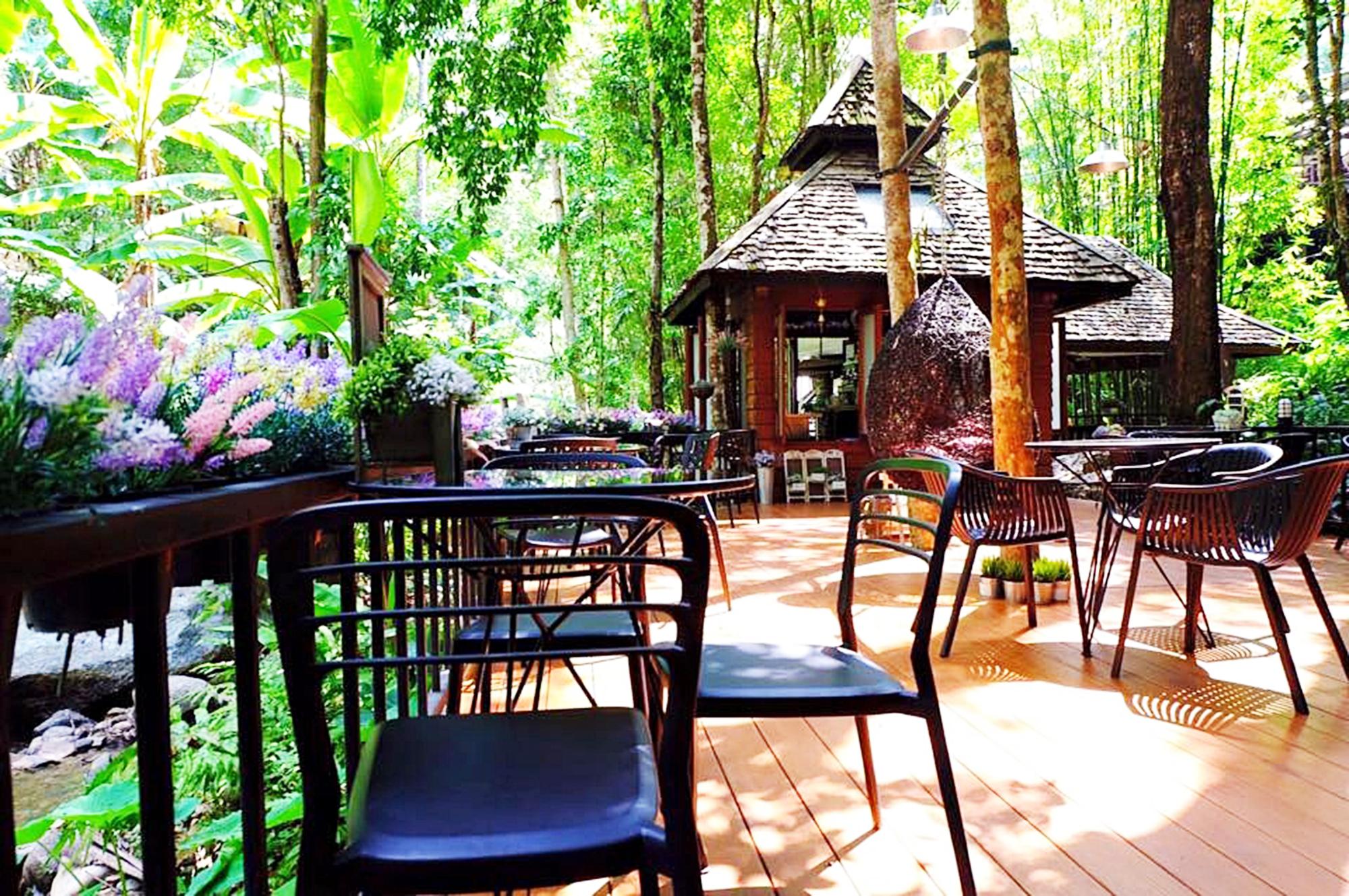 Kampong Coffee and Homestay,best hostels in chiang mai,cheap homestay in chiang mai,top hostels in chiang mai (30)