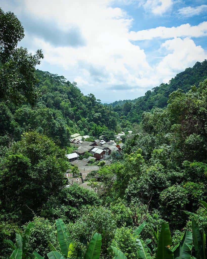 Kampong Coffee and Homestay,best hostels in chiang mai,cheap homestay in chiang mai,top hostels in chiang mai (35)