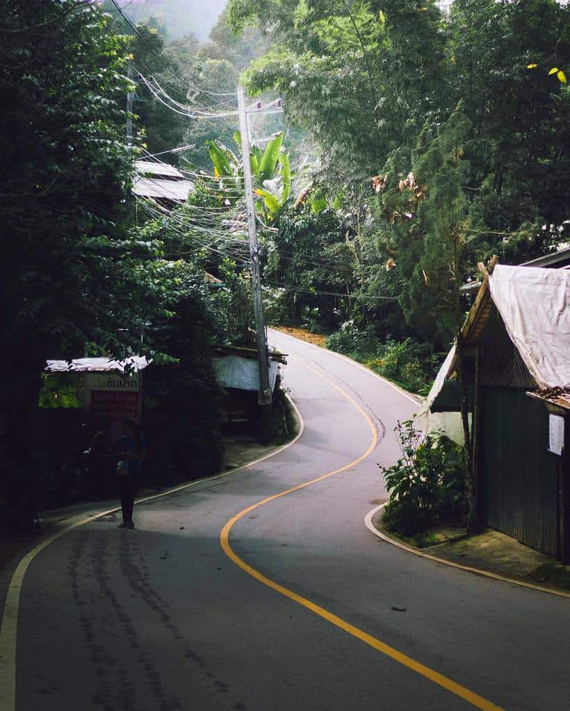 Kampong Coffee and Homestay,best hostels in chiang mai,cheap homestay in chiang mai,top hostels in chiang mai (36)