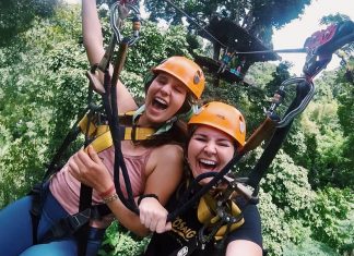 Kampong Coffee and Homestay,best hostels in chiang mai,cheap homestay in chiang mai,top hostels in chiang mai (1)