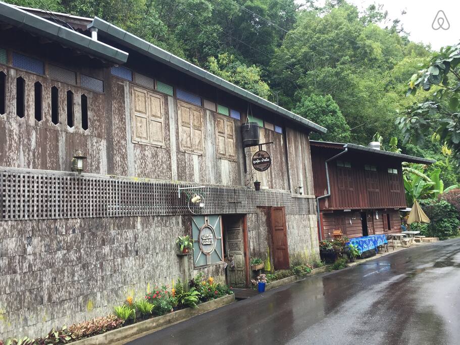 Kampong Coffee and Homestay,best hostels in chiang mai,cheap homestay in chiang mai,top hostels in chiang mai (7)