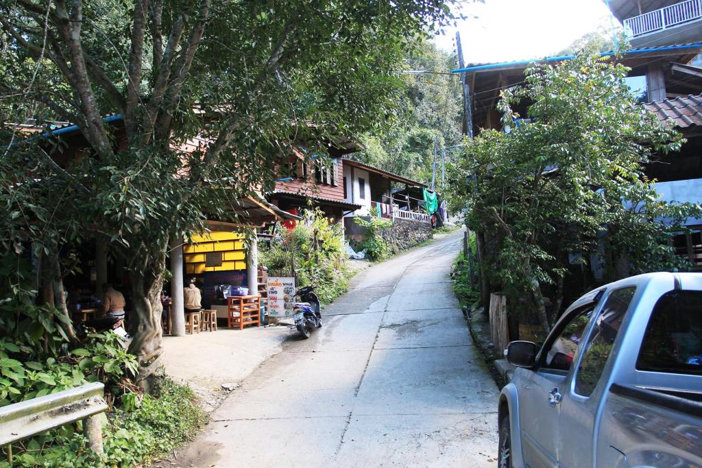 Kampong Coffee and Homestay,best hostels in chiang mai,cheap homestay in chiang mai,top hostels in chiang mai (8)
