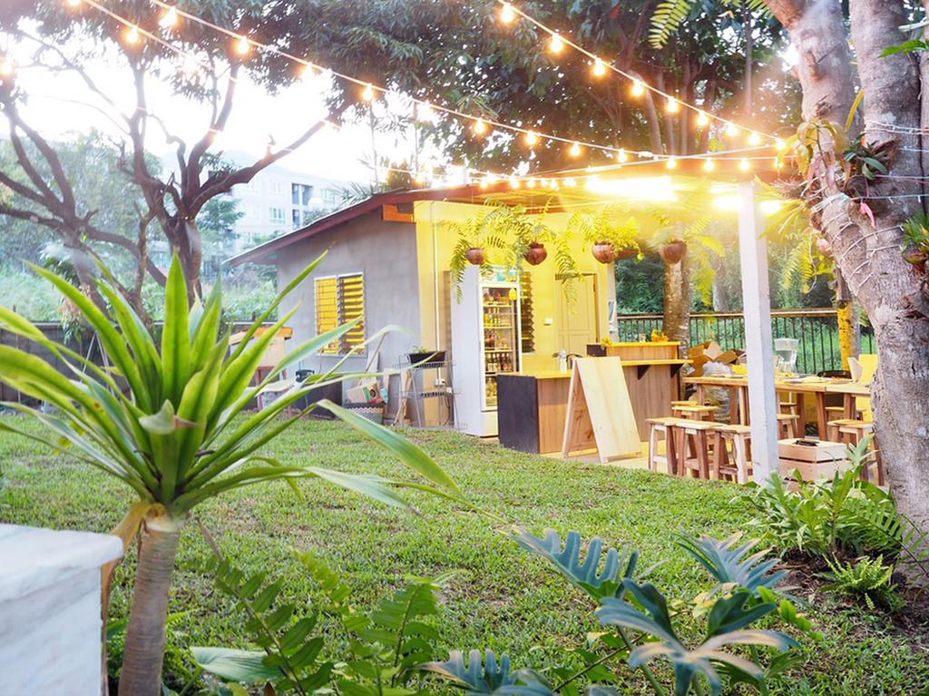 Squirrel Hostel chiang mai (3)