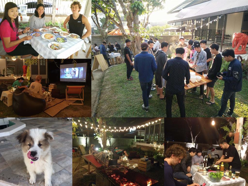 Squirrel Hostel chiang mai (3)